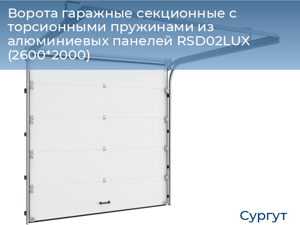 Ворота гаражные секционные с торсионными пружинами из алюминиевых панелей RSD02LUX (2600*2000), surgut.doorhan.ru