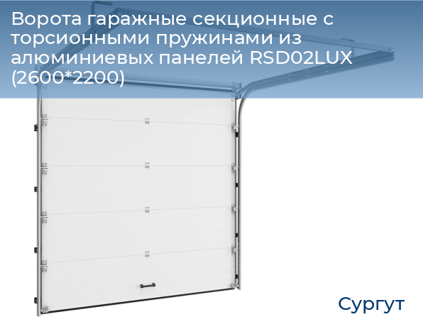 Ворота гаражные секционные с торсионными пружинами из алюминиевых панелей RSD02LUX (2600*2200), surgut.doorhan.ru