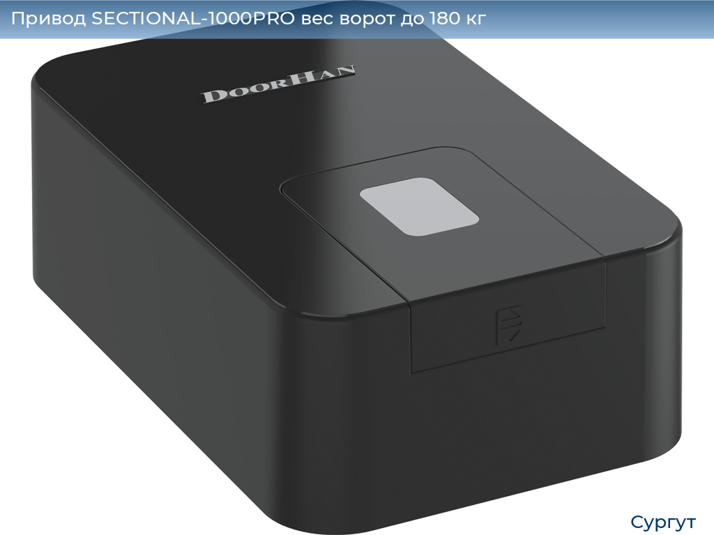 Привод SECTIONAL-1000PRO вес ворот до 180 кг, surgut.doorhan.ru
