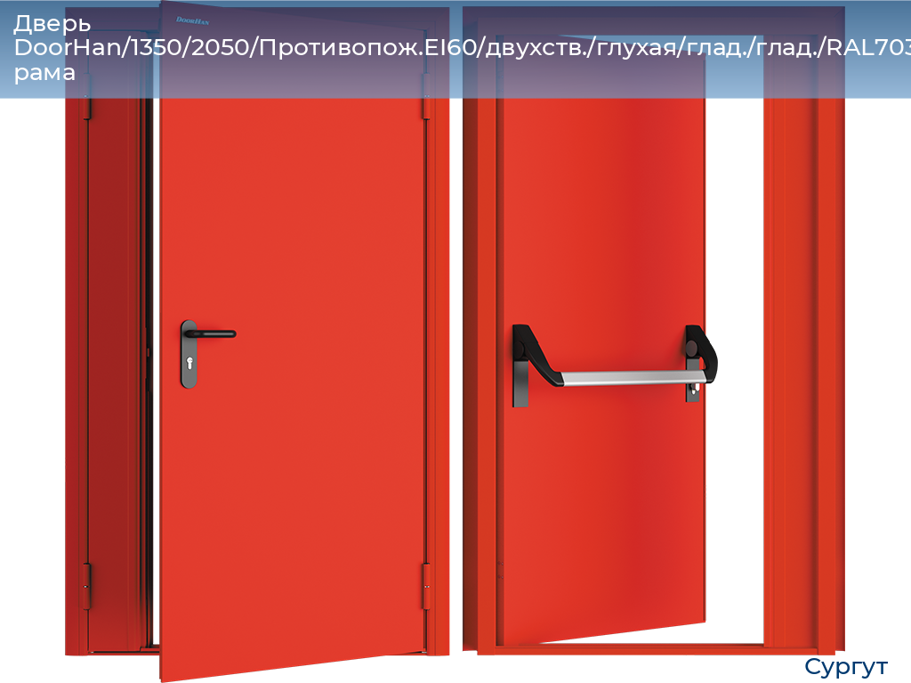 Дверь DoorHan/1350/2050/Противопож.EI60/двухств./глухая/глад./глад./RAL7035/лев./угл. рама, surgut.doorhan.ru