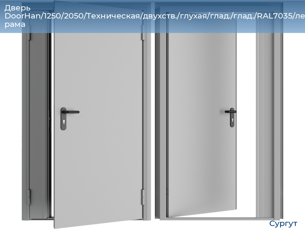 Дверь DoorHan/1250/2050/Техническая/двухств./глухая/глад./глад./RAL7035/лев./угл. рама, surgut.doorhan.ru