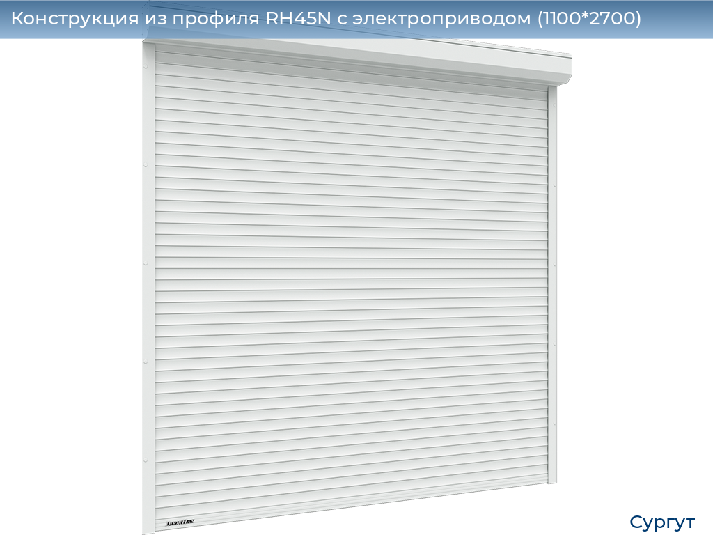 Конструкция из профиля RH45N с электроприводом (1100*2700), surgut.doorhan.ru