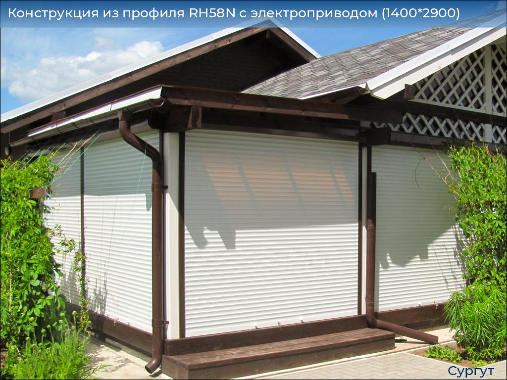 Конструкция из профиля RH58N с электроприводом (1400*2900), surgut.doorhan.ru