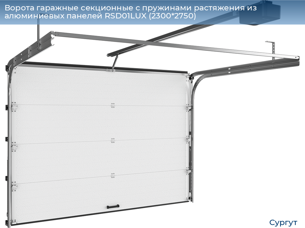 Ворота гаражные секционные с пружинами растяжения из алюминиевых панелей RSD01LUX (2300*2750), surgut.doorhan.ru