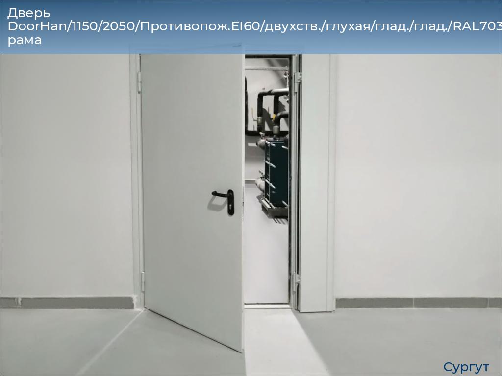 Дверь DoorHan/1150/2050/Противопож.EI60/двухств./глухая/глад./глад./RAL7035/прав./угл. рама, surgut.doorhan.ru