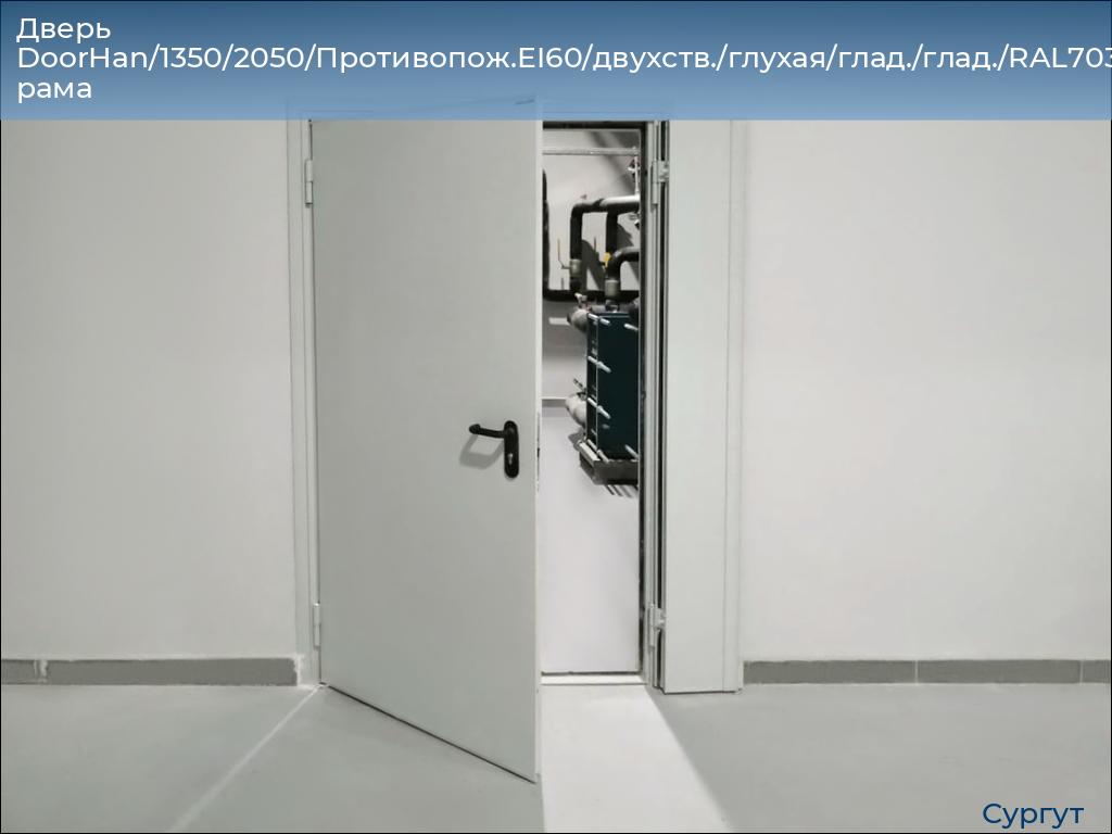 Дверь DoorHan/1350/2050/Противопож.EI60/двухств./глухая/глад./глад./RAL7035/прав./угл. рама, surgut.doorhan.ru
