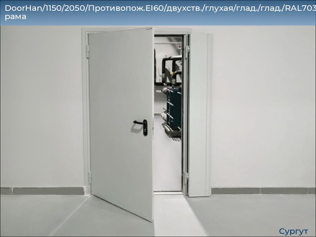 DoorHan/1150/2050/Противопож.EI60/двухств./глухая/глад./глад./RAL7035/лев./угл. рама, surgut.doorhan.ru