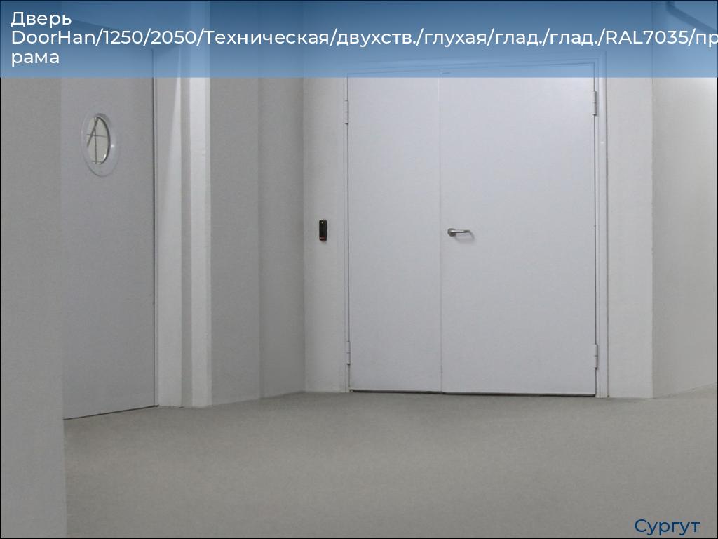 Дверь DoorHan/1250/2050/Техническая/двухств./глухая/глад./глад./RAL7035/прав./угл. рама, surgut.doorhan.ru