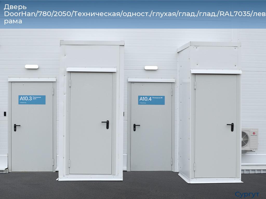 Дверь DoorHan/780/2050/Техническая/одност./глухая/глад./глад./RAL7035/лев./угл. рама, surgut.doorhan.ru