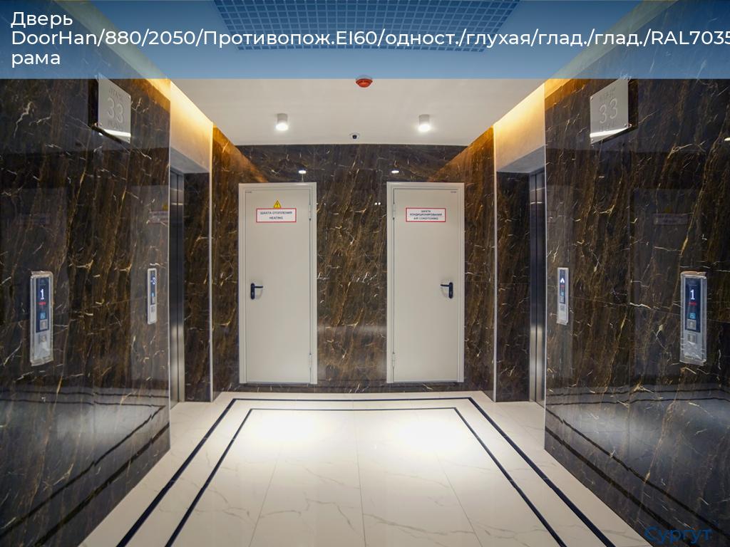 Дверь DoorHan/880/2050/Противопож.EI60/одност./глухая/глад./глад./RAL7035/лев./угл. рама, surgut.doorhan.ru