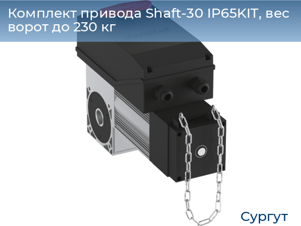 Комплект привода Shaft-30 IP65KIT, вес ворот до 230 кг, surgut.doorhan.ru