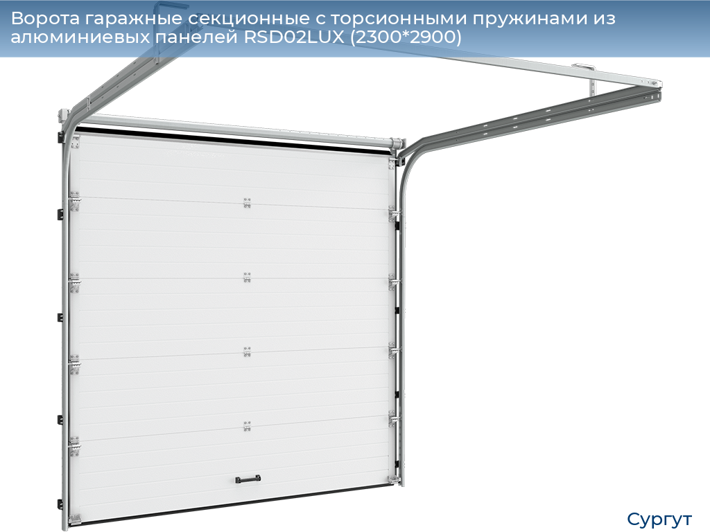 Ворота гаражные секционные с торсионными пружинами из алюминиевых панелей RSD02LUX (2300*2900), surgut.doorhan.ru