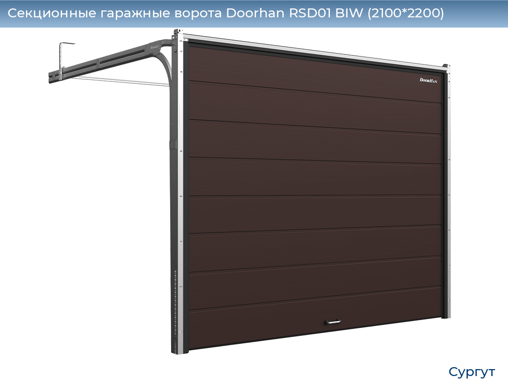 Секционные гаражные ворота Doorhan RSD01 BIW (2100*2200), surgut.doorhan.ru
