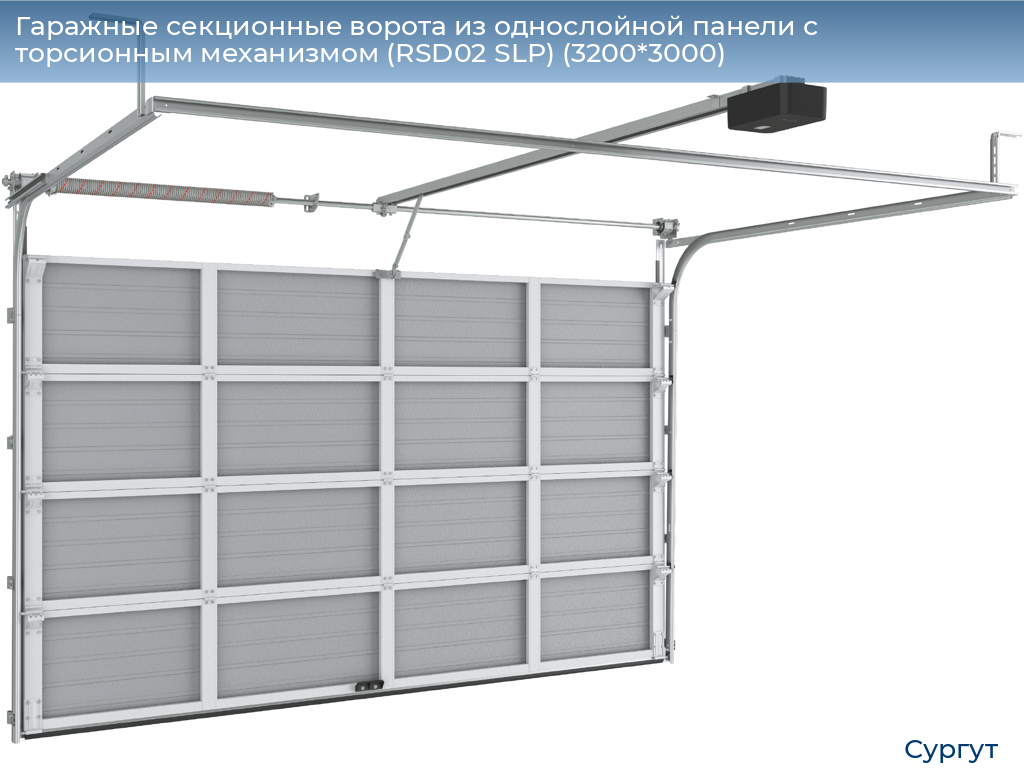 Гаражные секционные ворота из однослойной панели с торсионным механизмом (RSD02 SLP) (3200*3000), surgut.doorhan.ru