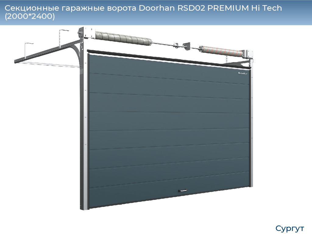 Секционные гаражные ворота Doorhan RSD02 PREMIUM Hi Tech (2000*2400), surgut.doorhan.ru