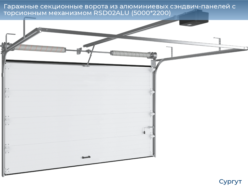 Гаражные секционные ворота из алюминиевых сэндвич-панелей с торсионным механизмом RSD02ALU (5000*2200), surgut.doorhan.ru