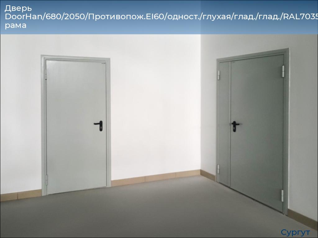 Дверь DoorHan/680/2050/Противопож.EI60/одност./глухая/глад./глад./RAL7035/прав./угл. рама, surgut.doorhan.ru