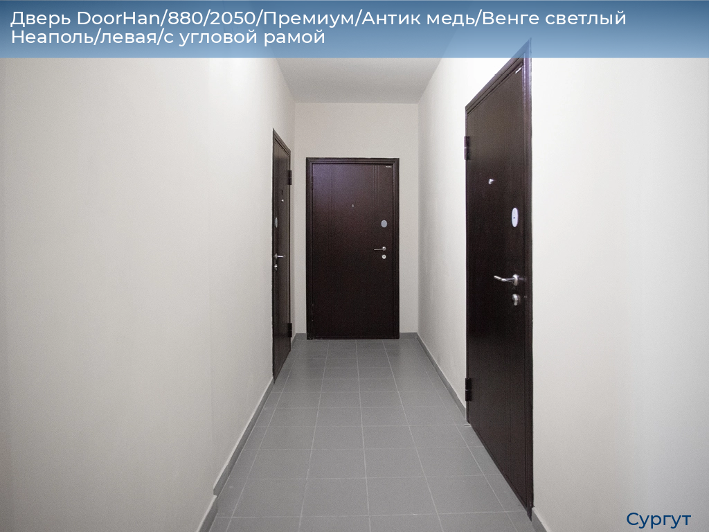Дверь DoorHan/880/2050/Премиум/Антик медь/Венге светлый Неаполь/левая/с угловой рамой, surgut.doorhan.ru