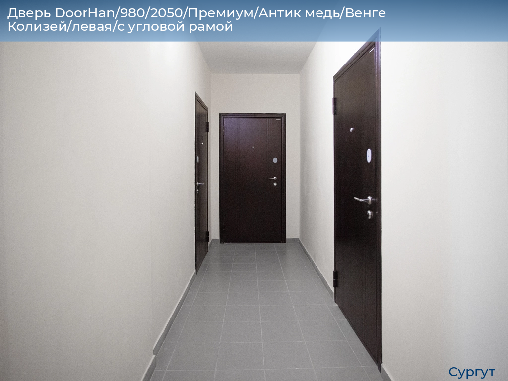 Дверь DoorHan/980/2050/Премиум/Антик медь/Венге Колизей/левая/с угловой рамой, surgut.doorhan.ru