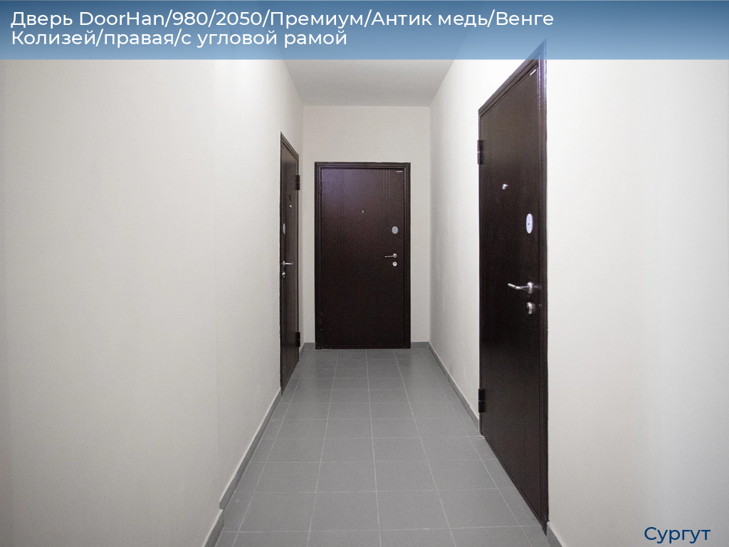 Дверь DoorHan/980/2050/Премиум/Антик медь/Венге Колизей/правая/с угловой рамой, surgut.doorhan.ru