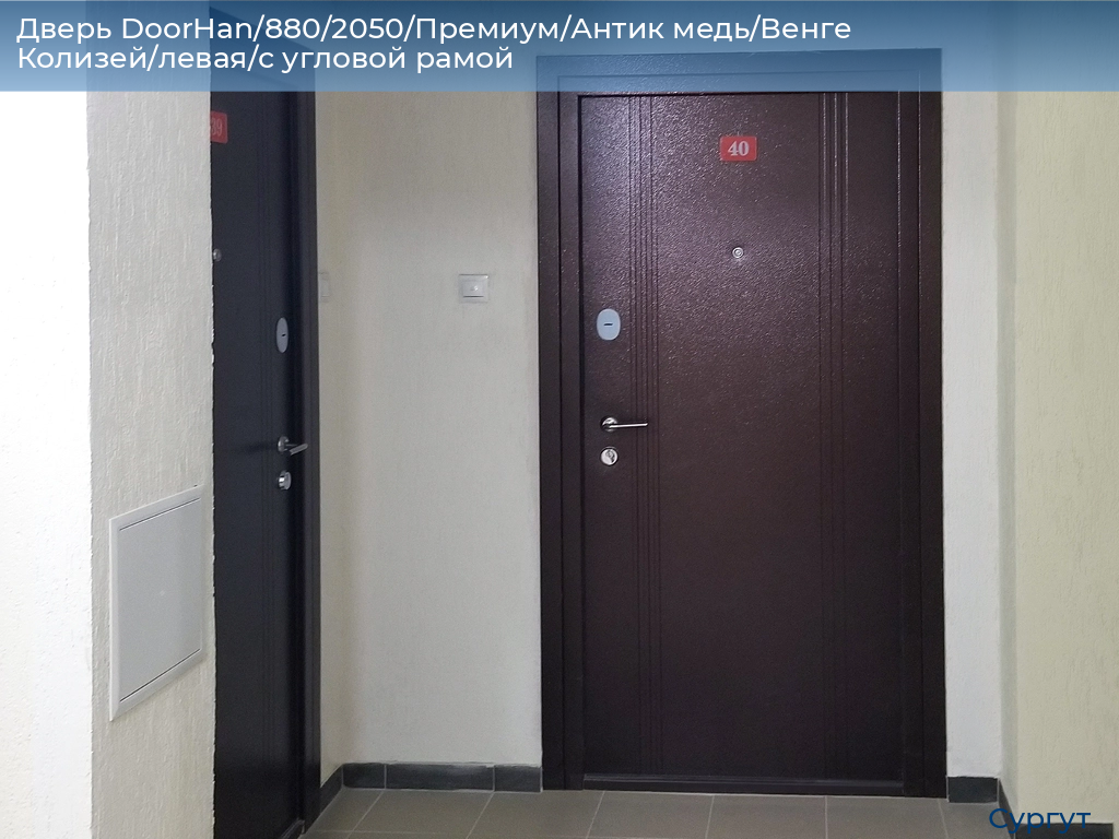 Дверь DoorHan/880/2050/Премиум/Антик медь/Венге Колизей/левая/с угловой рамой, surgut.doorhan.ru