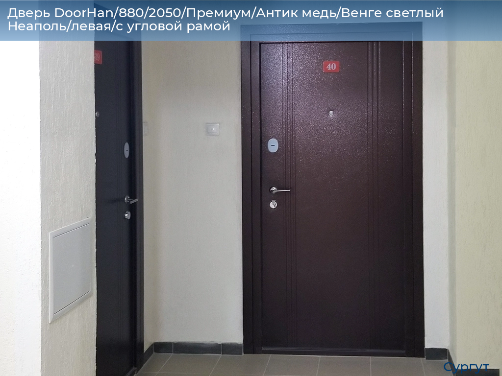 Дверь DoorHan/880/2050/Премиум/Антик медь/Венге светлый Неаполь/левая/с угловой рамой, surgut.doorhan.ru