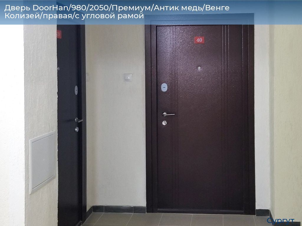 Дверь DoorHan/980/2050/Премиум/Антик медь/Венге Колизей/правая/с угловой рамой, surgut.doorhan.ru