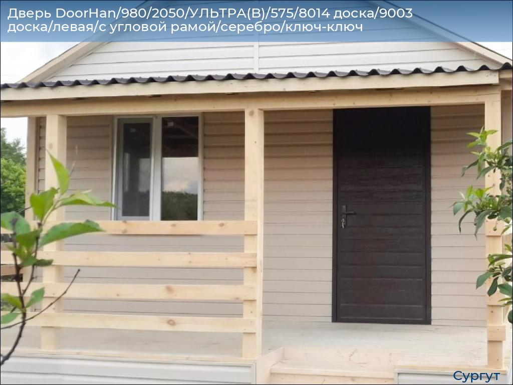 Дверь DoorHan/980/2050/УЛЬТРА(B)/575/8014 доска/9003 доска/левая/с угловой рамой/серебро/ключ-ключ, surgut.doorhan.ru