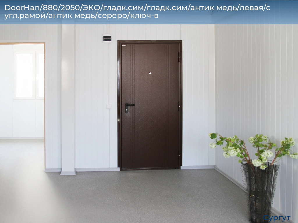 DoorHan/880/2050/ЭКО/гладк.сим/гладк.сим/антик медь/левая/с угл.рамой/антик медь/сереро/ключ-в, surgut.doorhan.ru