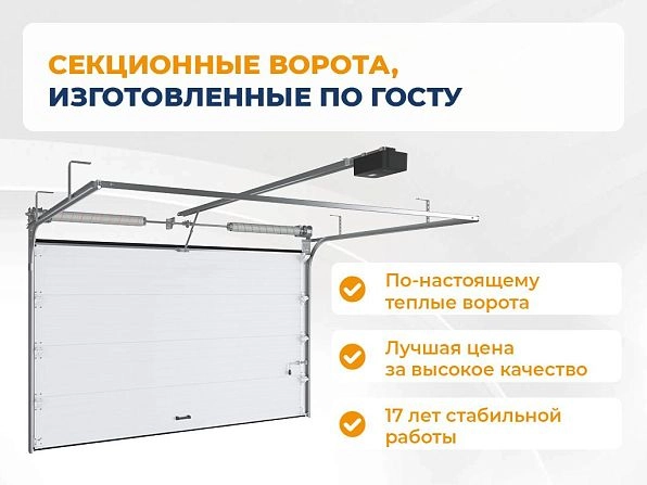 Секционные ворота 2500х2100 мм белые DoorHan RSD02, surgut.doorhan.ru
